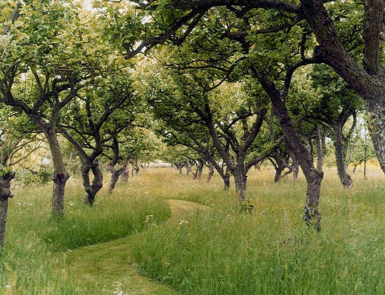 Orchard Envy Lovinger Robertson Landscape Architect
